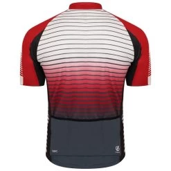 Dare 2b AEP Virtuous Polaire De Randonnée Zippé à Manches Courtes Pour Homme - Rouge -Vélo D'appartement aep virtuous polaire de randonnee zippe a manches courtes pour homme rouge 2